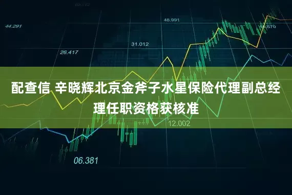 配查信 辛晓辉北京金斧子水星保险代理副总经理任职资格获核准