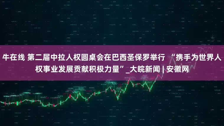 牛在线 第二届中拉人权圆桌会在巴西圣保罗举行  “携手为世界人权事业发展贡献积极力量”_大皖新闻 | 安徽网