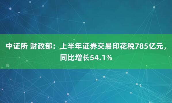 中证所 财政部：上半年证券交易印花税785亿元，同比增长54.1%
