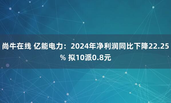 尚牛在线 亿能电力：2024年净利润同比下降22.25% 拟10派0.8元